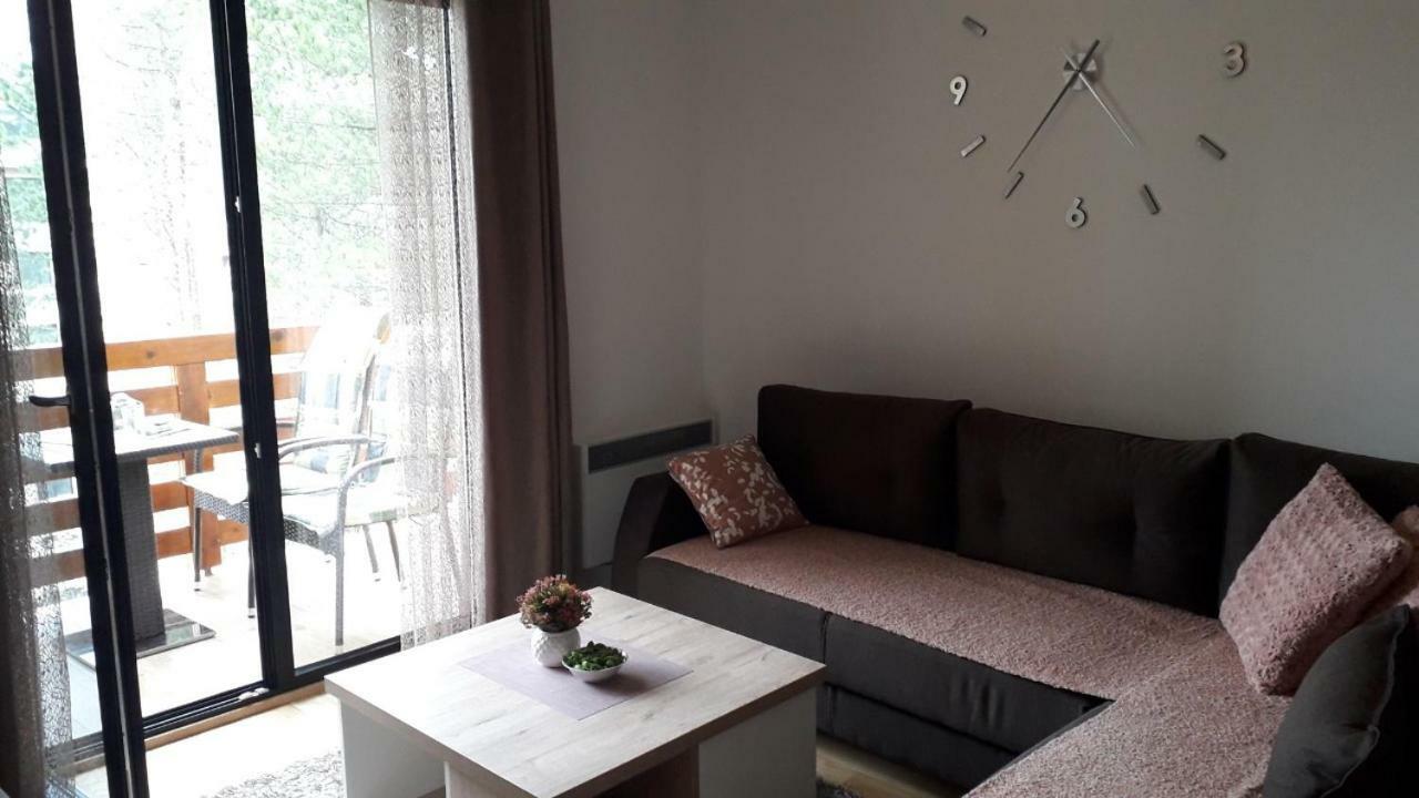 Apartman Nana Svetogorska 19 ,Stan 17 Zlatibor Exterior photo