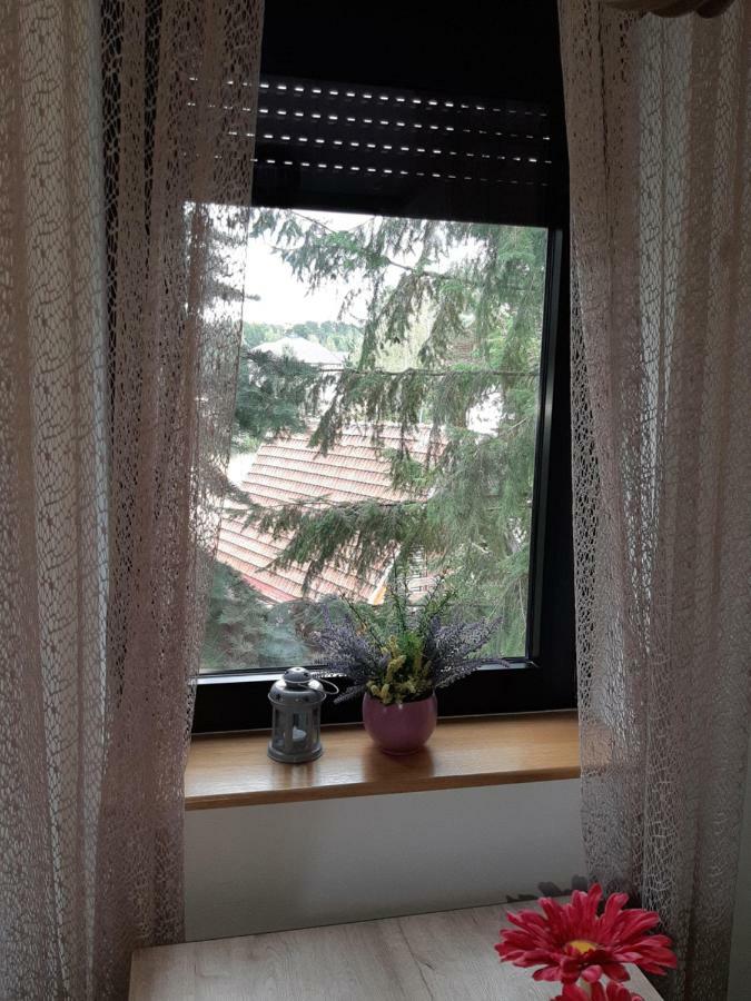 Apartman Nana Svetogorska 19 ,Stan 17 Zlatibor Exterior photo